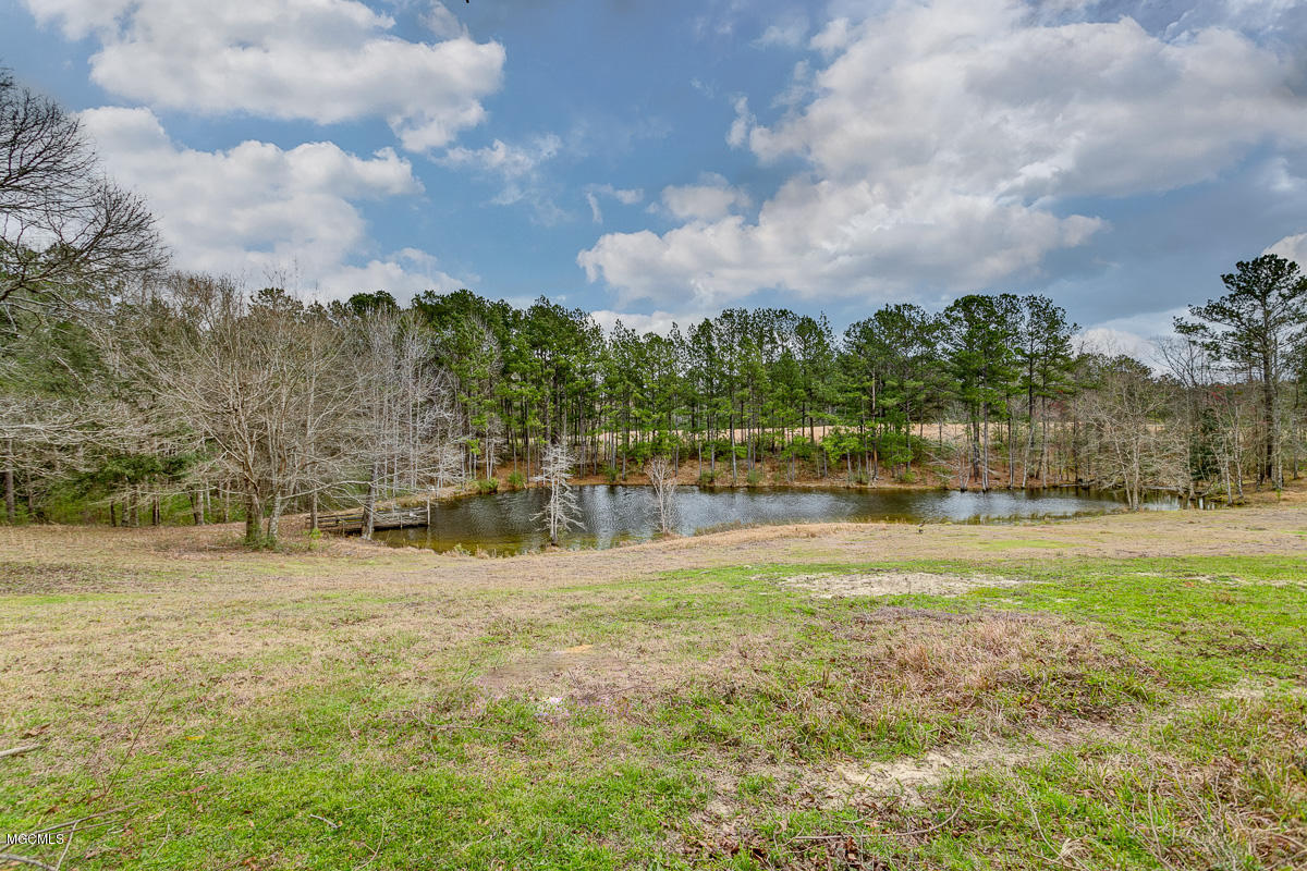 268 Beaver Creek Road Lucedale, MS 39452 - Photo 3 of 30 859B1993_4_5-Edit-14