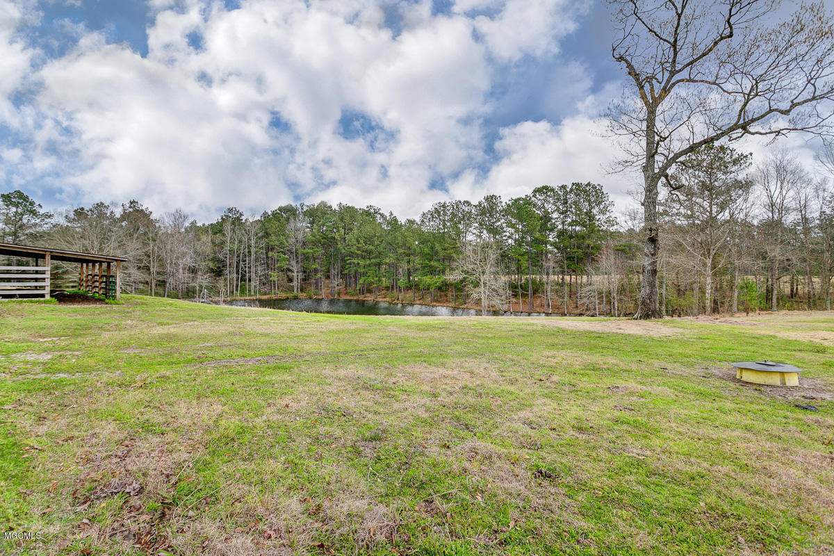 268 Beaver Creek Road Lucedale, MS 39452 - Photo 4 of 30 859B1973_4_5-Edit-11