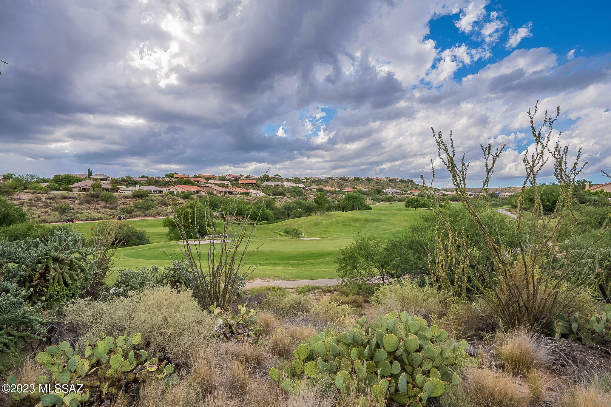 37464 South Ridgeview Boulevard Tucson, AZ 85739 - Photo 34 of 36