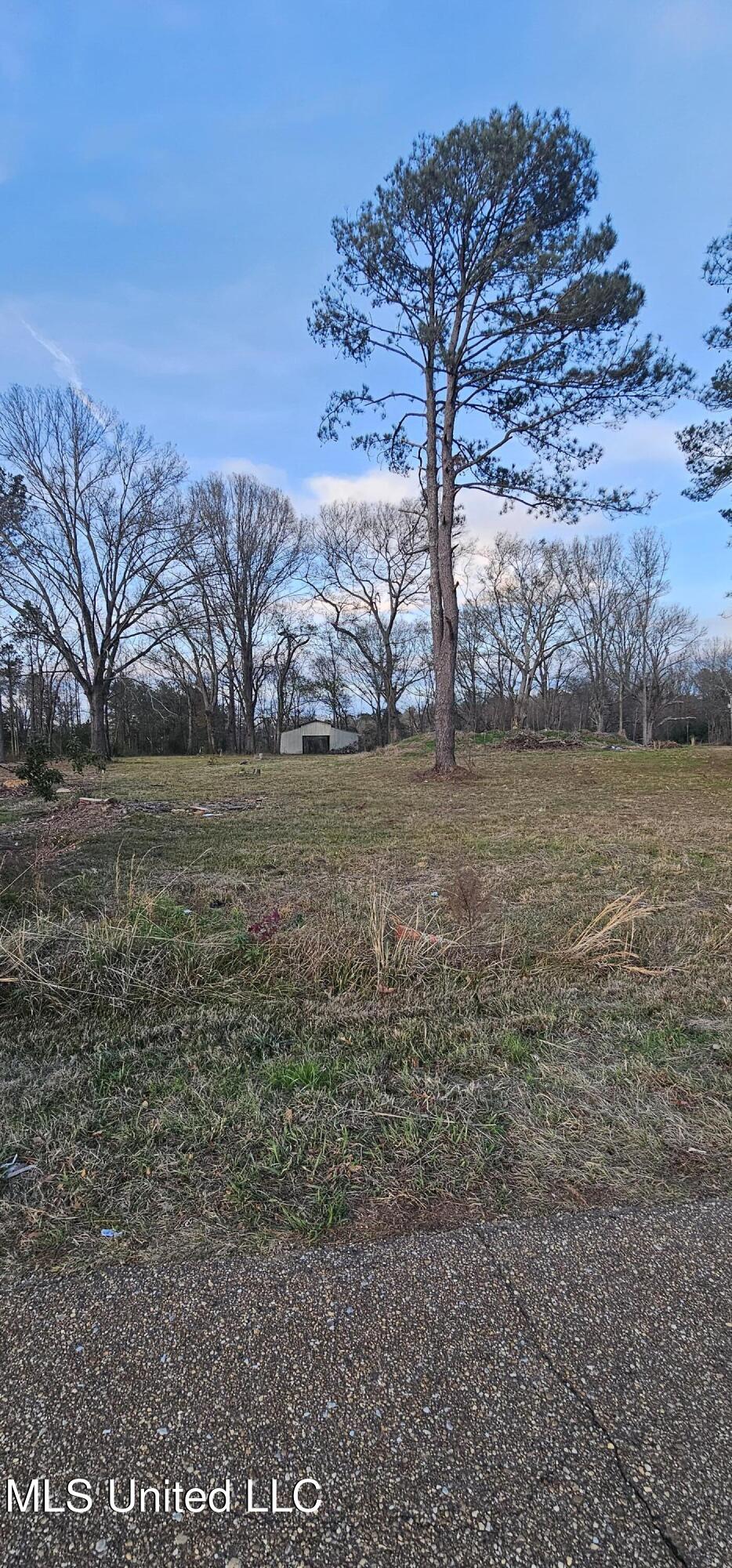 296 Rankin Road Canton, MS 39046 - Photo 2 of 6 1000034766