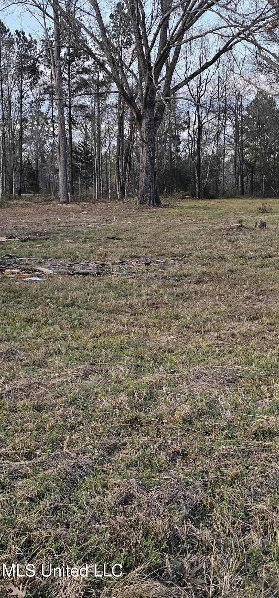 296 Rankin Road Canton, MS 39046 - Photo 4 of 6 1000034769