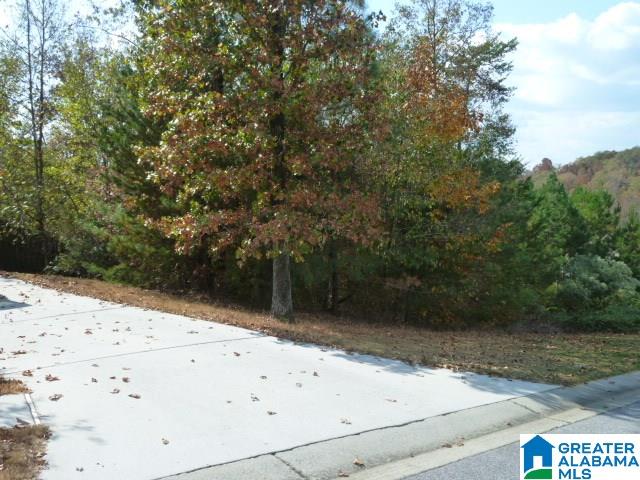 4348 Springbrook Lane Gardendale, AL 35071 - Photo 26 of 27