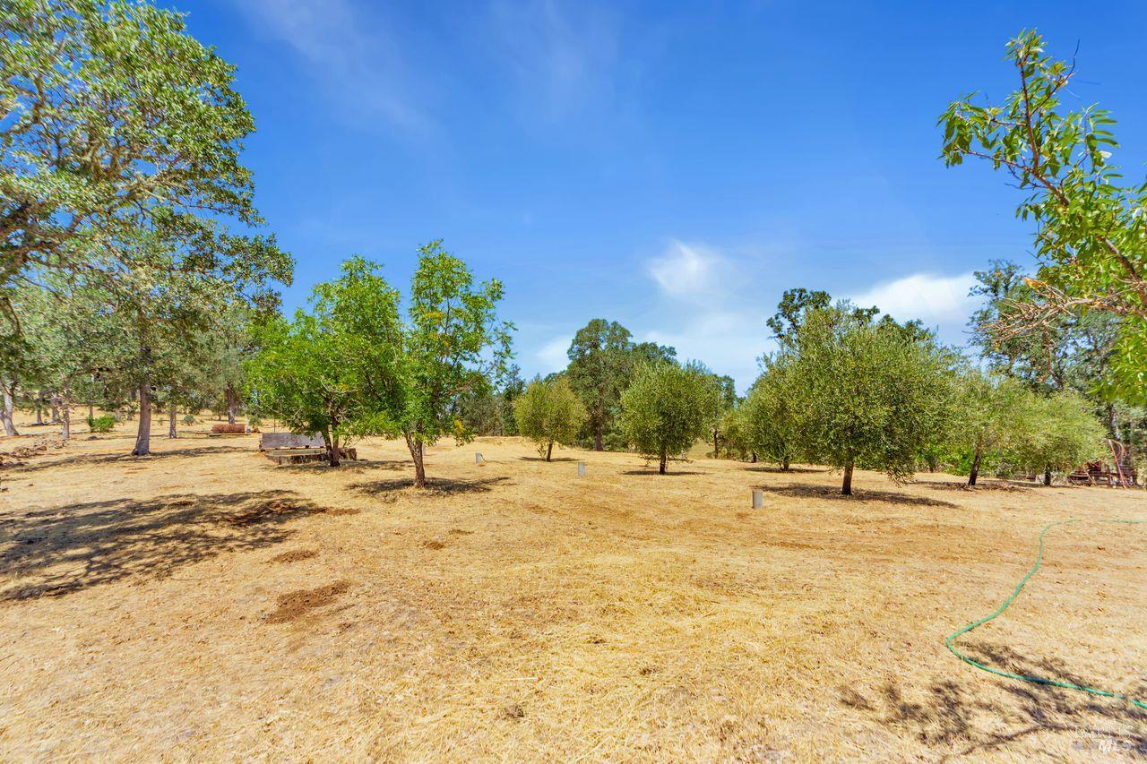 17277 Butts Canyon Road Middletown, CA 95461 - Photo 30 of 41 a view of an empty space and yard