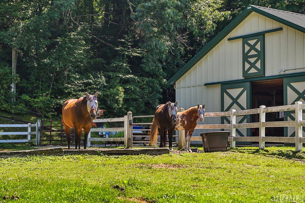 177 Pheasant Run Road Highlands, NC 28741 - Photo 34 of 35 Gallery Image 34