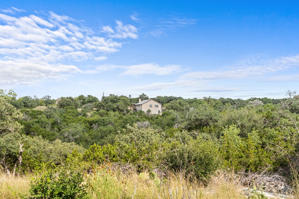 320 Spicer Loop Kerrville, TX 78028 - Photo 39 of 48