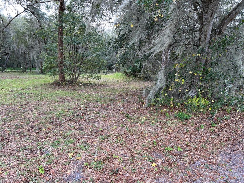 336 Turner Road Pierson, FL 32180 - Photo 1 of 1 Gallery Image 1