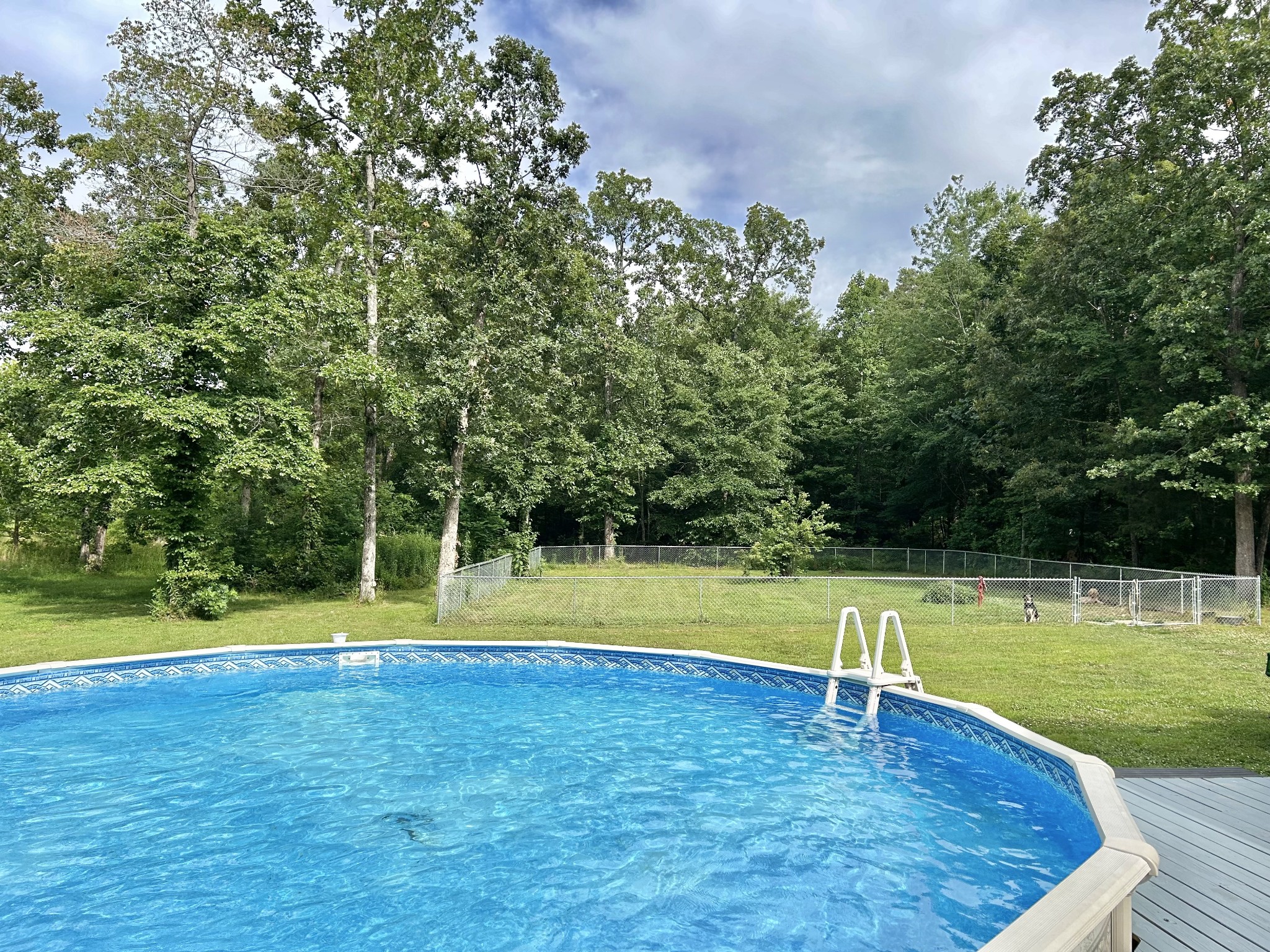 795 Cat Creek Road Manchester, TN 37355 - Photo 43 of 58 a view of a tennis ground with a small yard