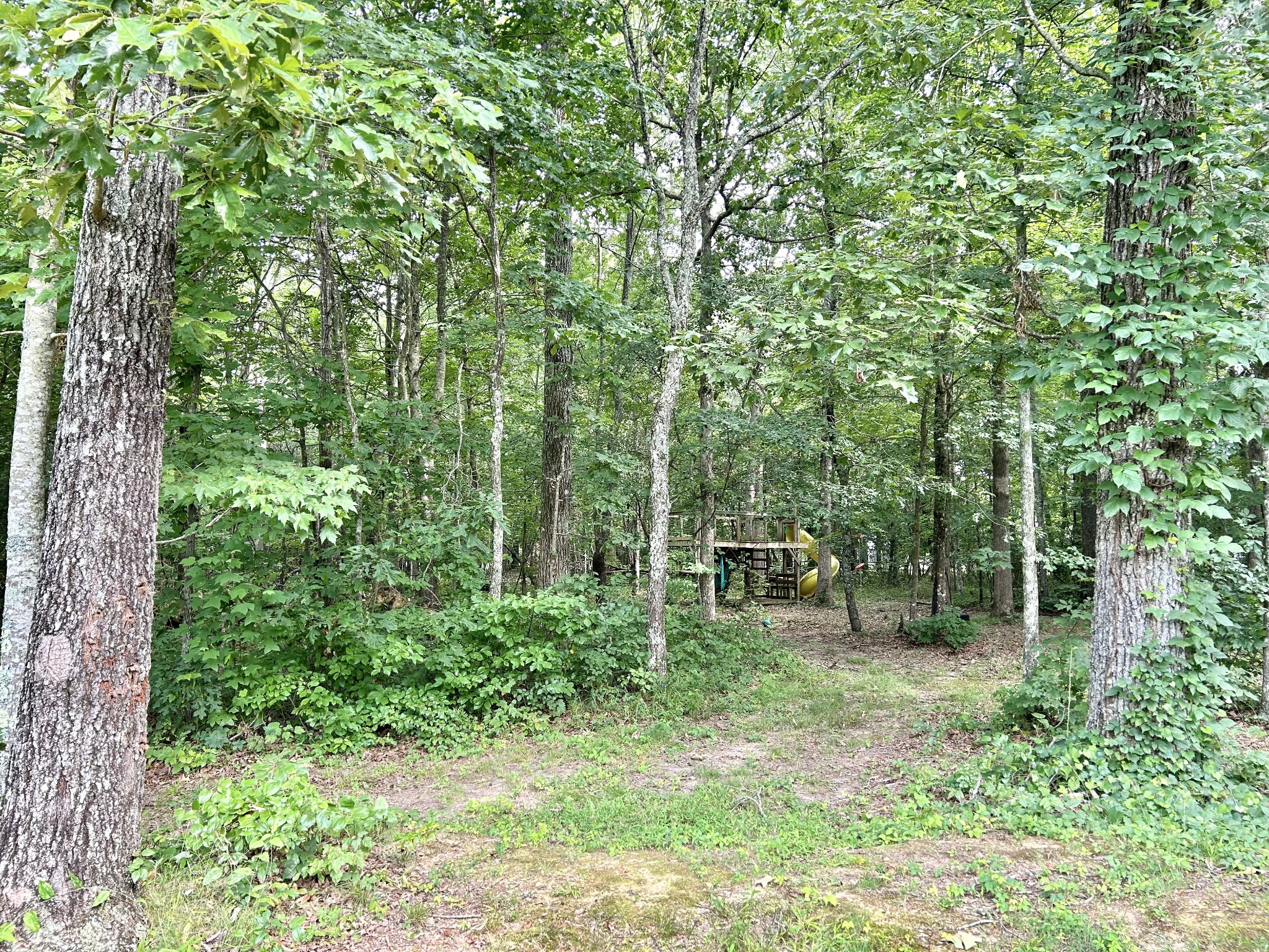 795 Cat Creek Road Manchester, TN 37355 - Photo 49 of 58