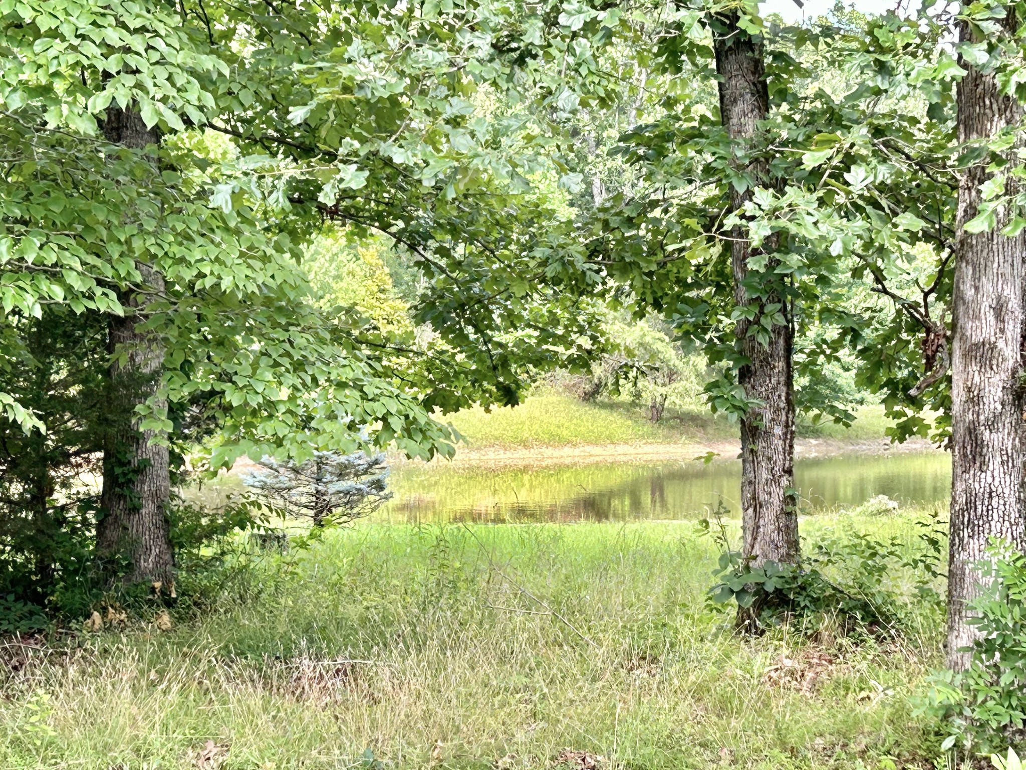 795 Cat Creek Road Manchester, TN 37355 - Photo 51 of 58