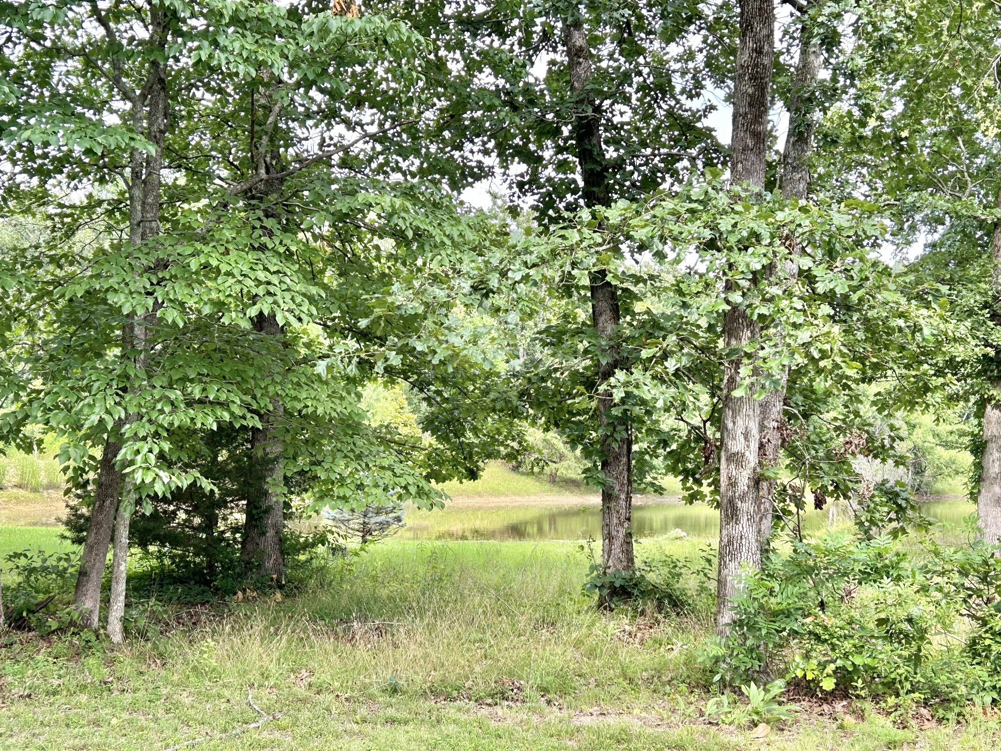 795 Cat Creek Road Manchester, TN 37355 - Photo 52 of 58 a backyard of a house with lots of green space