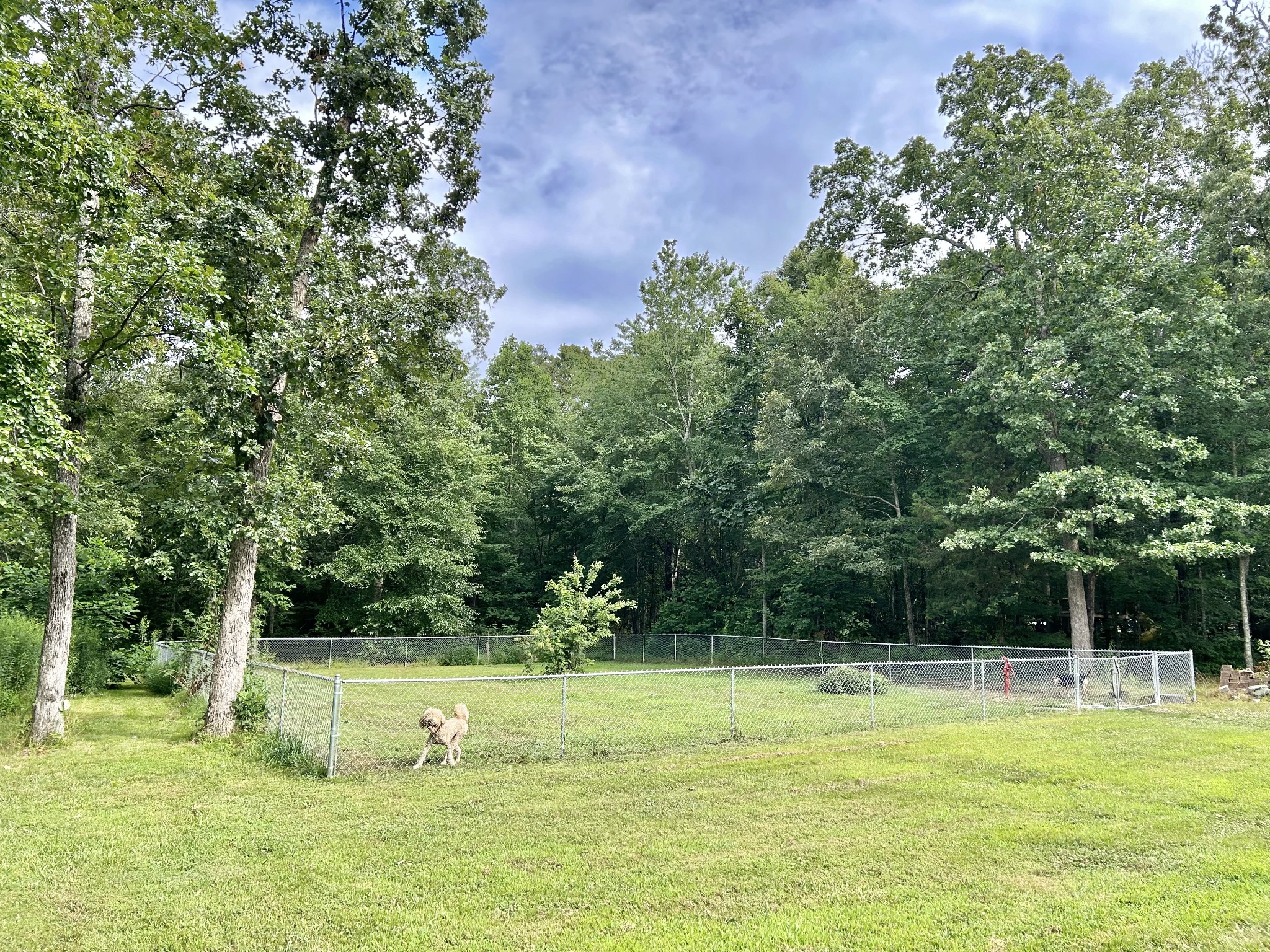 795 Cat Creek Road Manchester, TN 37355 - Photo 53 of 58 a view of a swimming pool with a garden
