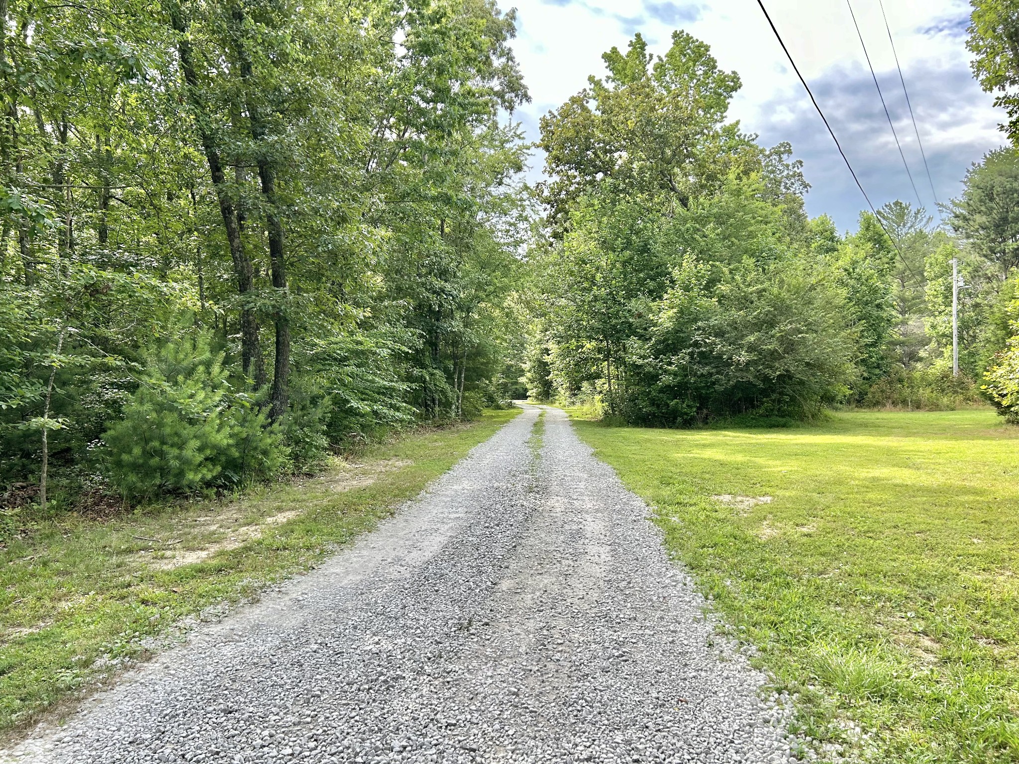 795 Cat Creek Road Manchester, TN 37355 - Photo 56 of 58 a view of a yard with an trees