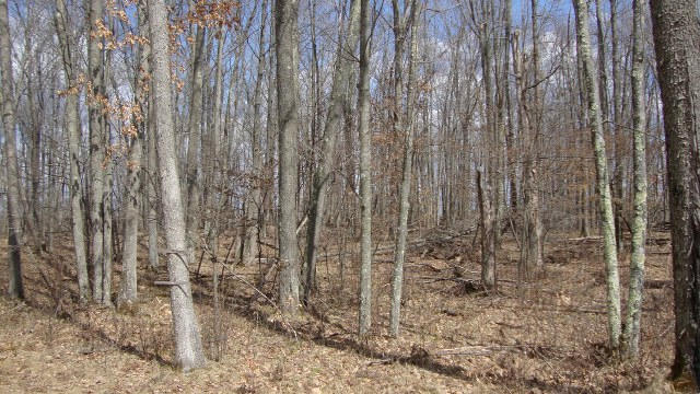 Lot 8-ol Hydro Court Crivitz, WI 54114 - Photo 1 of 1 Primary Photo