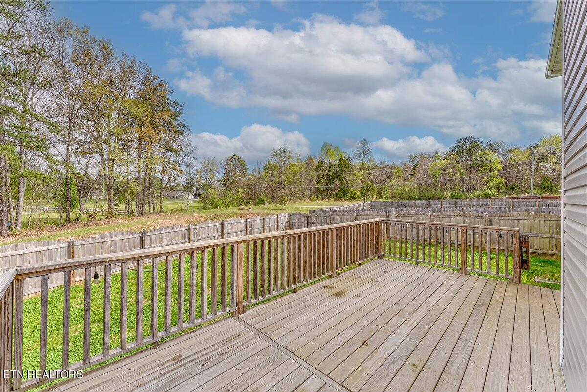 5961 Rain Cloud Road Knoxville, TN 37918 - Photo 20 of 45 20-Deck A1