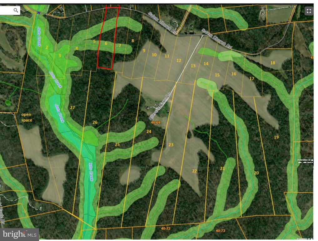 Lot 6 Salem Church Road King George, VA 22485 - Photo 2 of 2 a view of banana tree