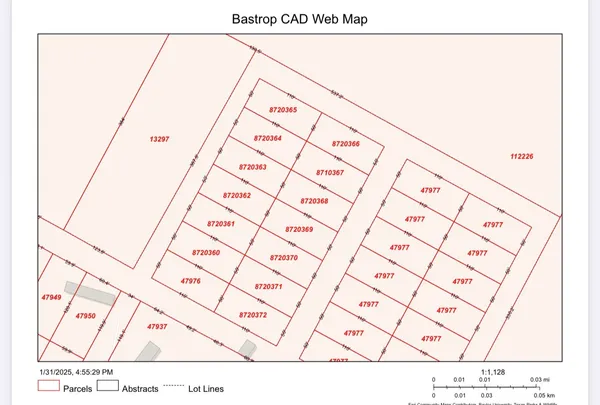 a picture of a black and white photo