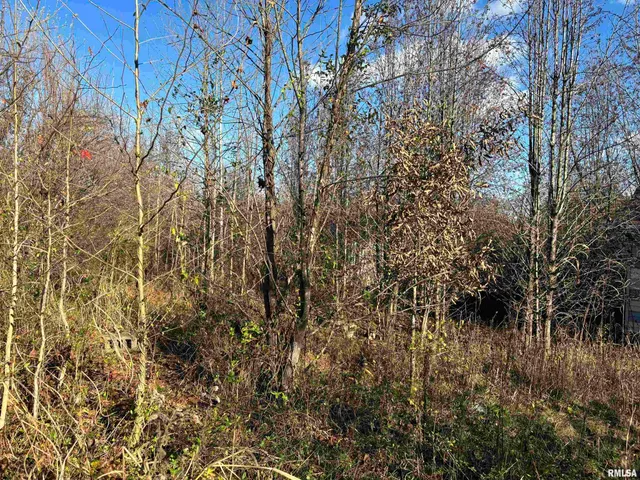 $39,000 | 1475 Highway 127, Jonesboro, IL 62952