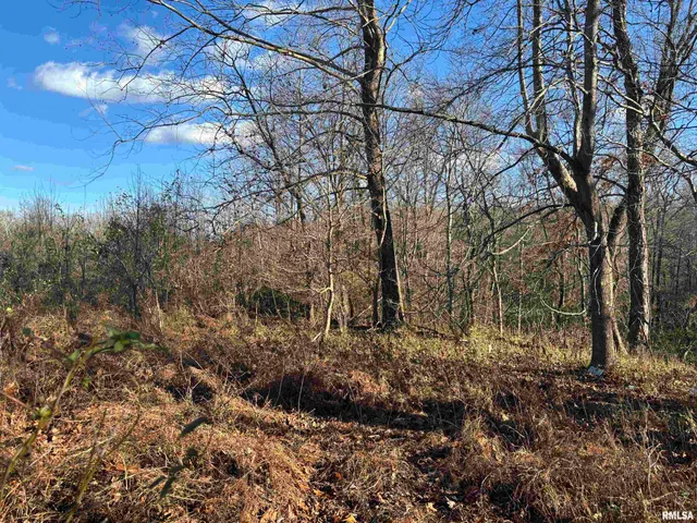 $39,000 | 1475 Highway 127, Jonesboro, IL 62952