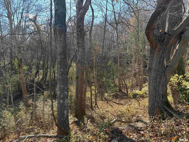 $39,000 | 1475 Highway 127, Jonesboro, IL 62952