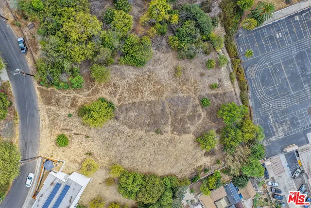 a view of a yard with plants and wooden fence