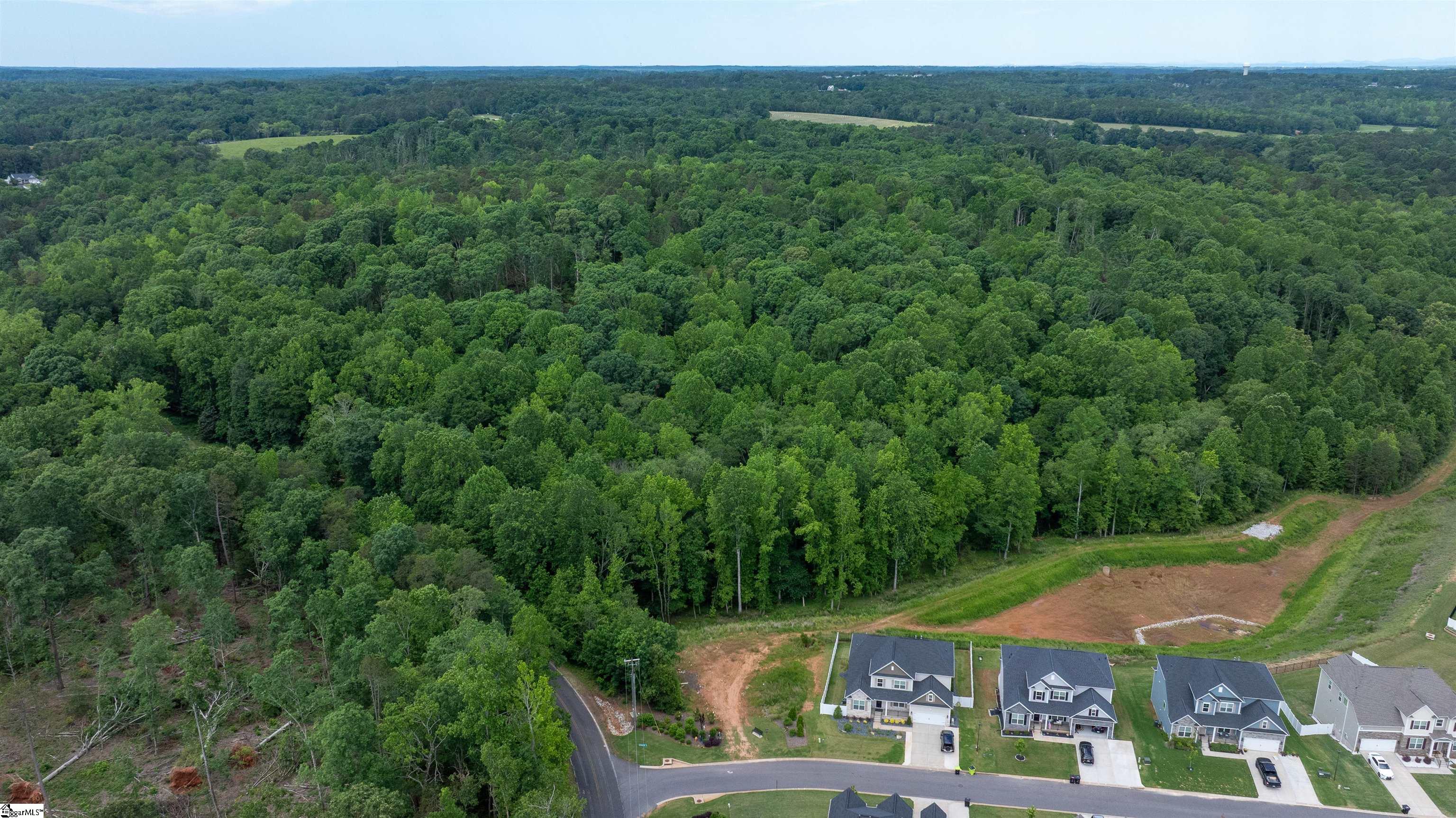 0 Old Mill Road Easley, SC 29642 - Photo 6 of 9