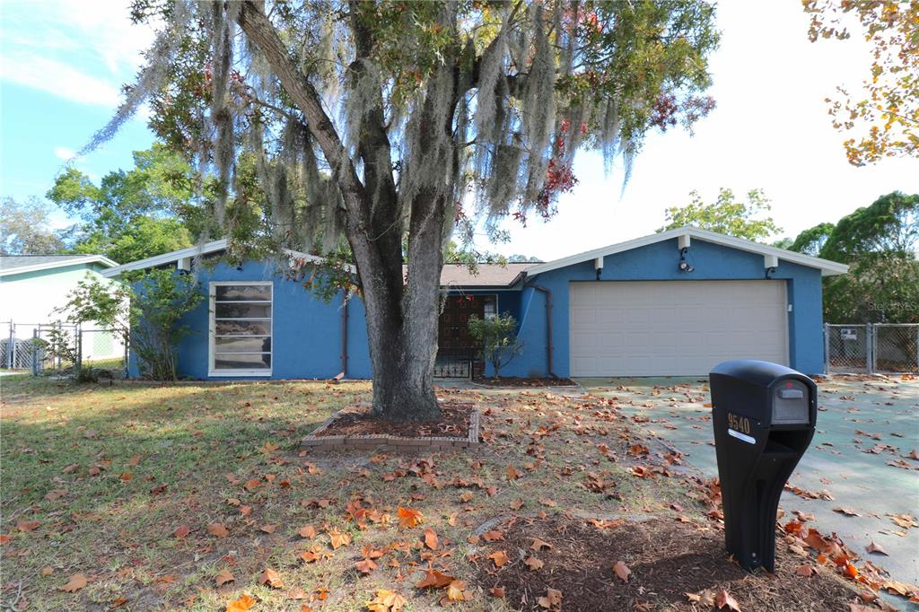 9540 Rainbow Lane Port Richey, FL 34668 - Photo 1 of 1