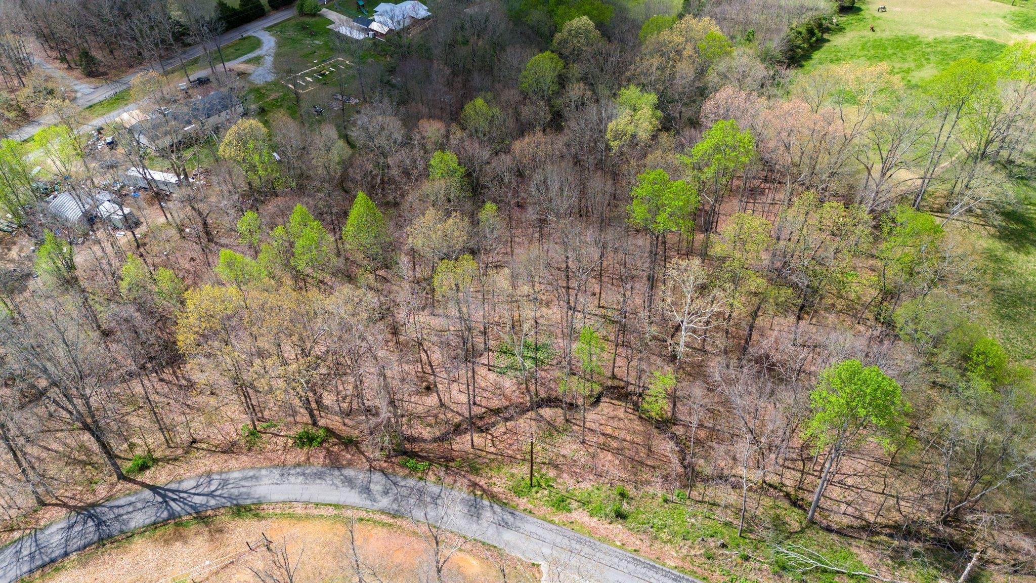 0 Town Branch Road Charlotte, TN 37036 - Photo 6 of 7 Gallery Image 6