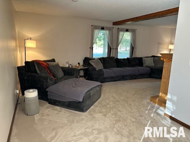 2 Springwater Drive Jacksonville, IL 62650 - Photo 13 of 40