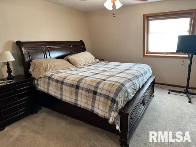 2 Springwater Drive Jacksonville, IL 62650 - Photo 22 of 40