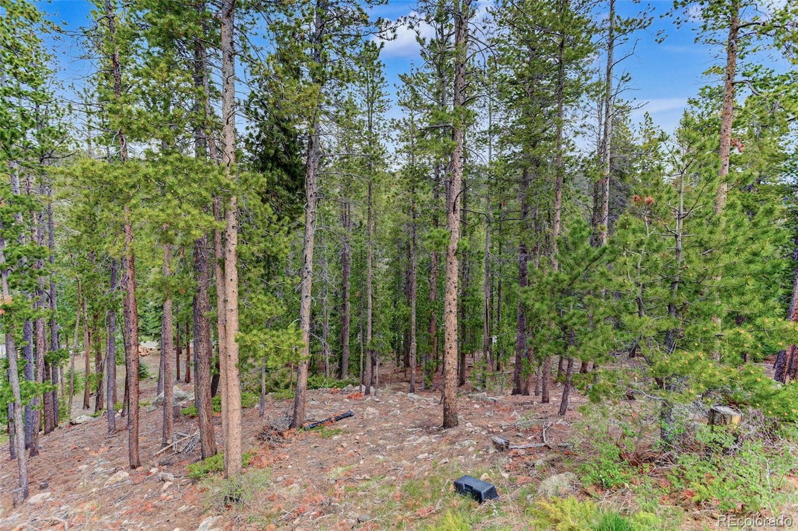 1960 Pine Valley Road Evergreen, CO 80439 - Photo 40 of 40