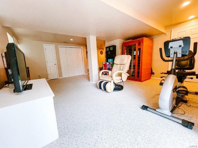 136 Tara Ridge Court Ballwin, MO 63021 - Photo 22 of 23 Gallery Image 22
