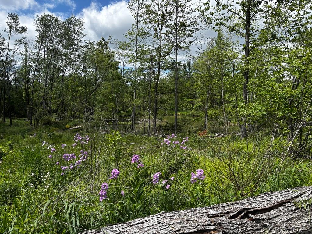 Ridge Road Hooversville, PA 15936 - Photo 9 of 23 Gallery Image 9