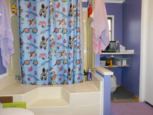 5101 Pebble Lane Loves Park, IL 61111 - Photo 17 of 17 a bathroom with a sink and a curtain