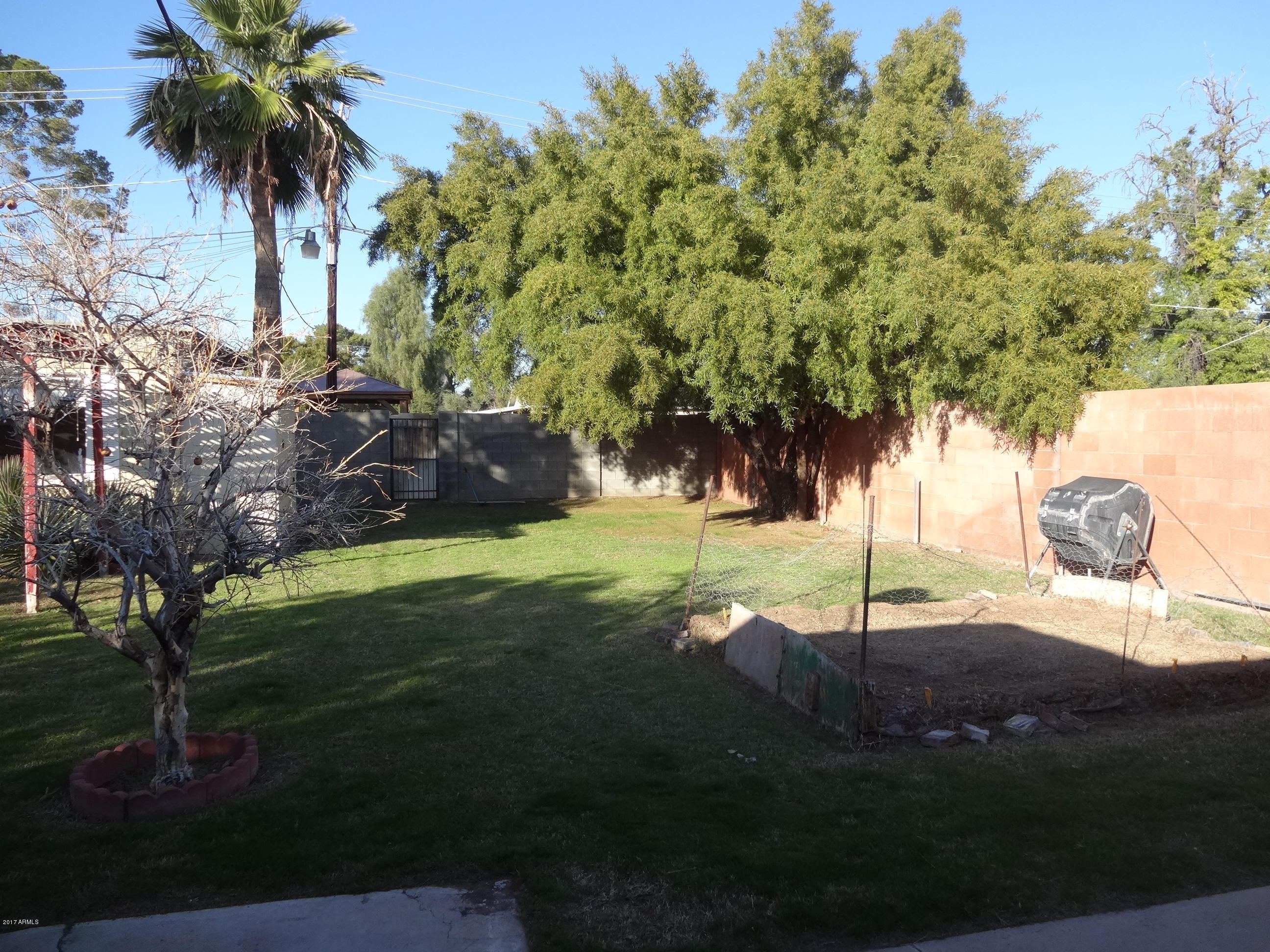1906 East Roma Avenue Phoenix, AZ 85016 - Photo 12 of 21 Spacious Backyard