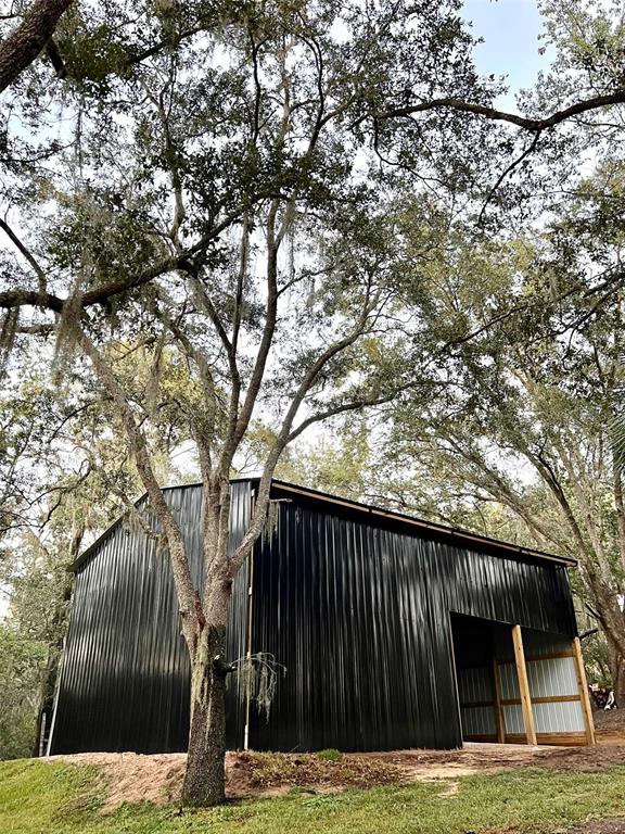 10135 North Em En El Grove Road Leesburg, FL 34788 - Photo 12 of 54 a view of swimming pool with a trees in the background