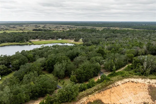 a view of a house with backyard and trees