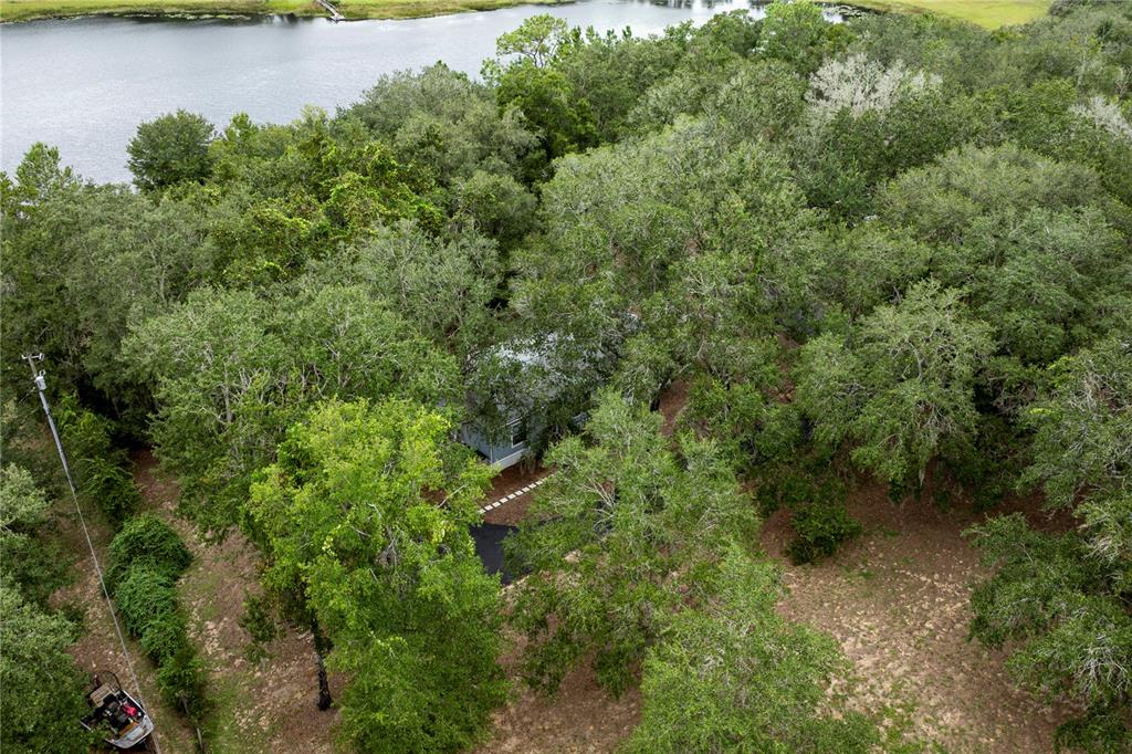 10135 North Em En El Grove Road Leesburg, FL 34788 - Photo 28 of 54 an aerial view of residential house with outdoor space and trees all around