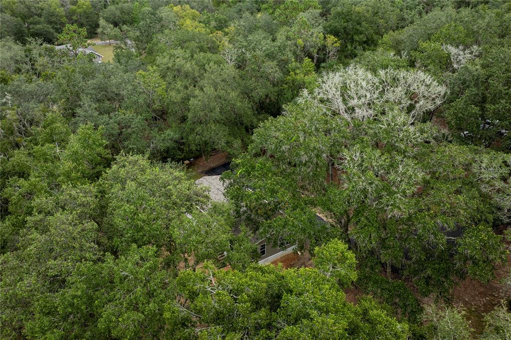 10135 North Em En El Grove Road Leesburg, FL 34788 - Photo 51 of 54 an aerial view of residential house with outdoor space and trees all around