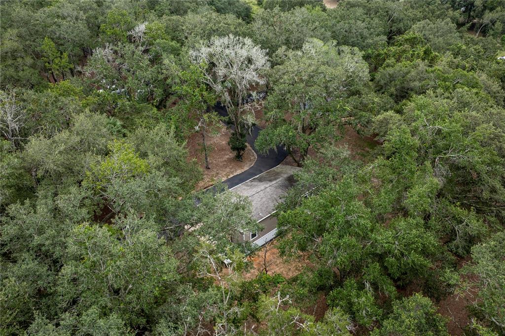10135 North Em En El Grove Road Leesburg, FL 34788 - Photo 52 of 54 an aerial view of residential house with outdoor space and trees all around
