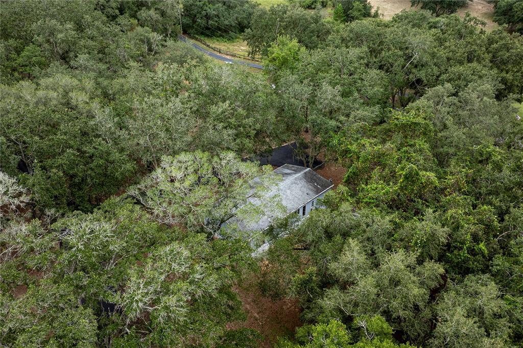 10135 North Em En El Grove Road Leesburg, FL 34788 - Photo 54 of 54 an aerial view of residential house with outdoor space and trees all around