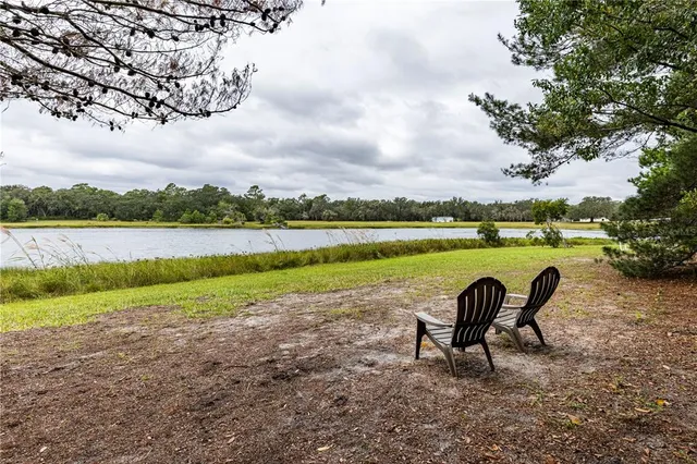 a view of outdoor space with tree