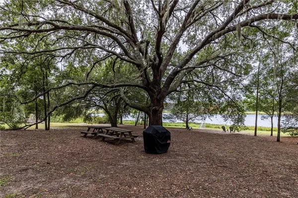 a view of outdoor space with tree
