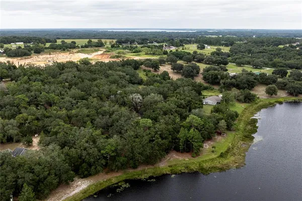 an aerial view of green landscape with trees houses and lake view