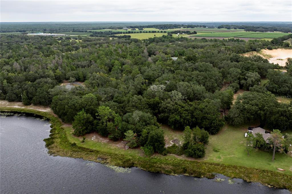 10135 North Em En El Grove Road Leesburg, FL 34788 - Photo 10 of 54 an aerial view of green landscape with trees houses and lake view