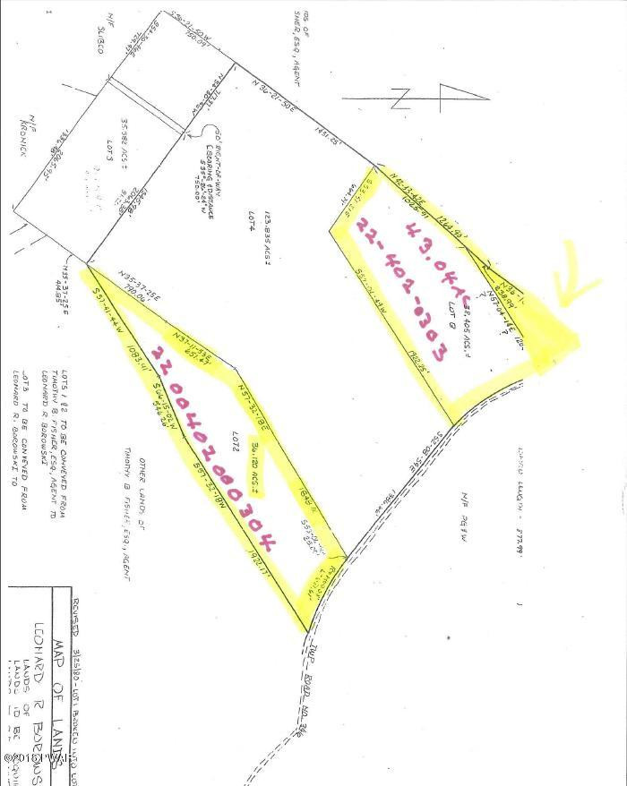 Lehigh Road Gouldsboro, PA 18424 - Photo 3 of 4