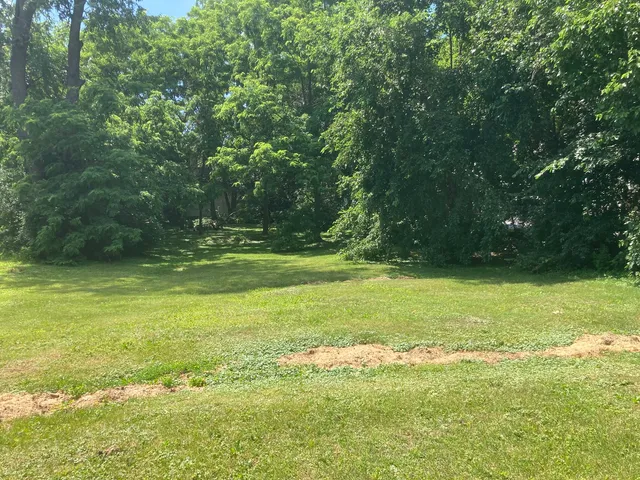 a view of outdoor space and yard