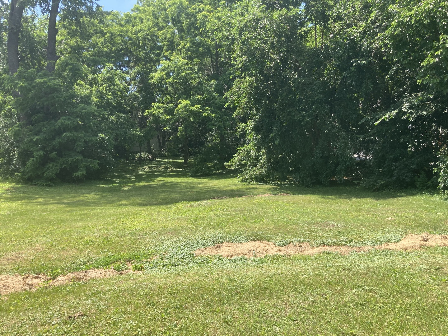 84 Elmhurst Street Crystal Lake, IL 60014 - Photo 3 of 6