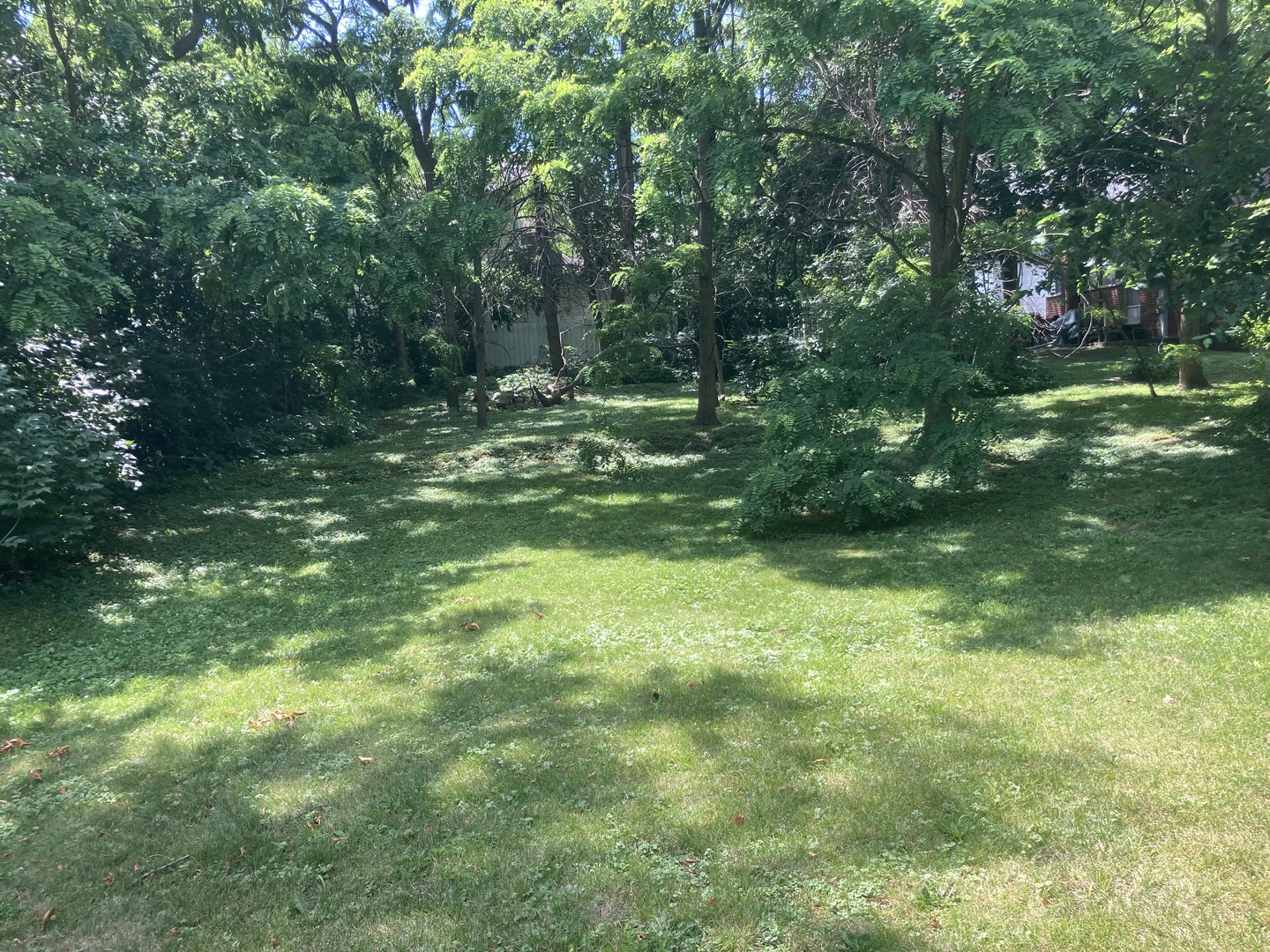 84 Elmhurst Street Crystal Lake, IL 60014 - Photo 4 of 6