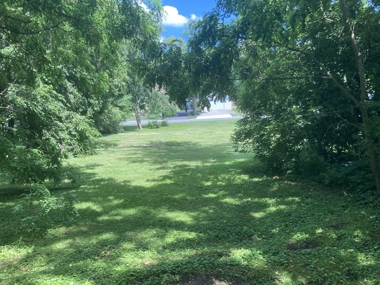 84 Elmhurst Street Crystal Lake, IL 60014 - Photo 5 of 6