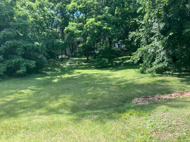 a view of a garden with a tree